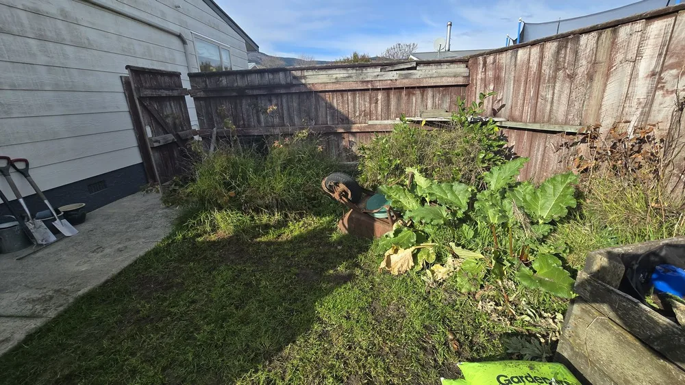 Garden tidy up in Nelson, before