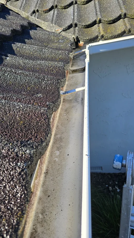Gutter cleaning in Nelson, after