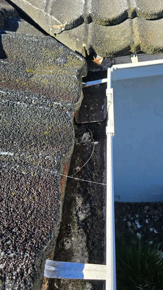 Gutter cleaning in Nelson, before