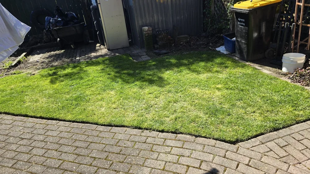 Lawn Mowing — after
