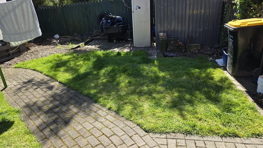 Lawn Mowing — before