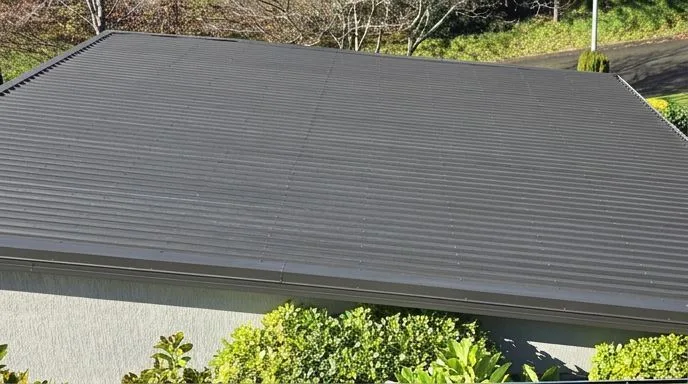 Roof & Gutter Care — after