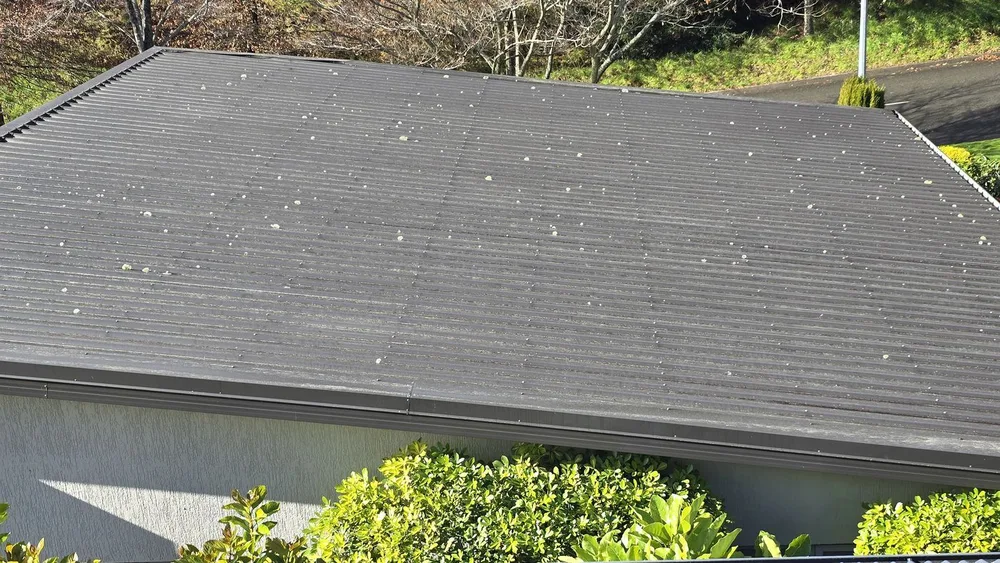 Roof & Gutter Care — before