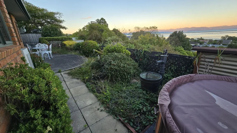 Garden Maintenance — before