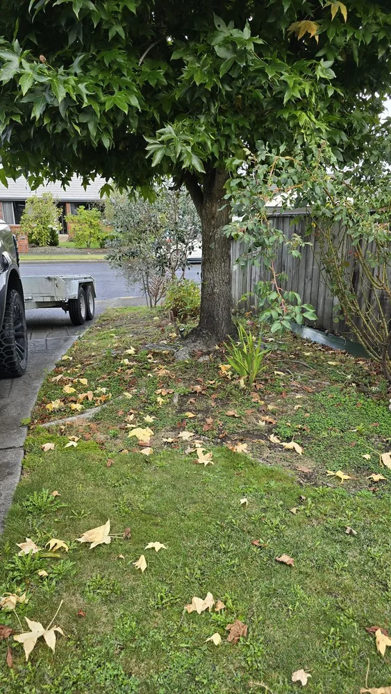 Seasonal garden cleanup in Nelson, before