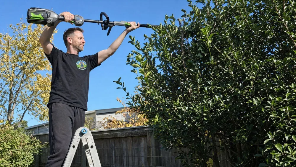 Tree Trimming & Removal — before